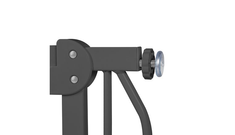 Lionelo, Truus, Slim, bramka ochronna, Grey Graphite