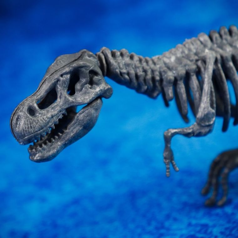 Lisciani, I'm a Genius, Laboratorium Paleontologii, zestaw kreatywny