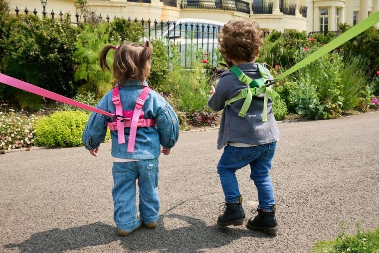LittleLife, szelki bezpieczeństwa, Motyl