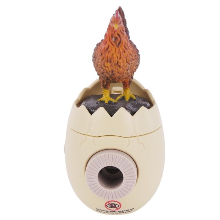 Maksik, projektor edukacyjny, farma