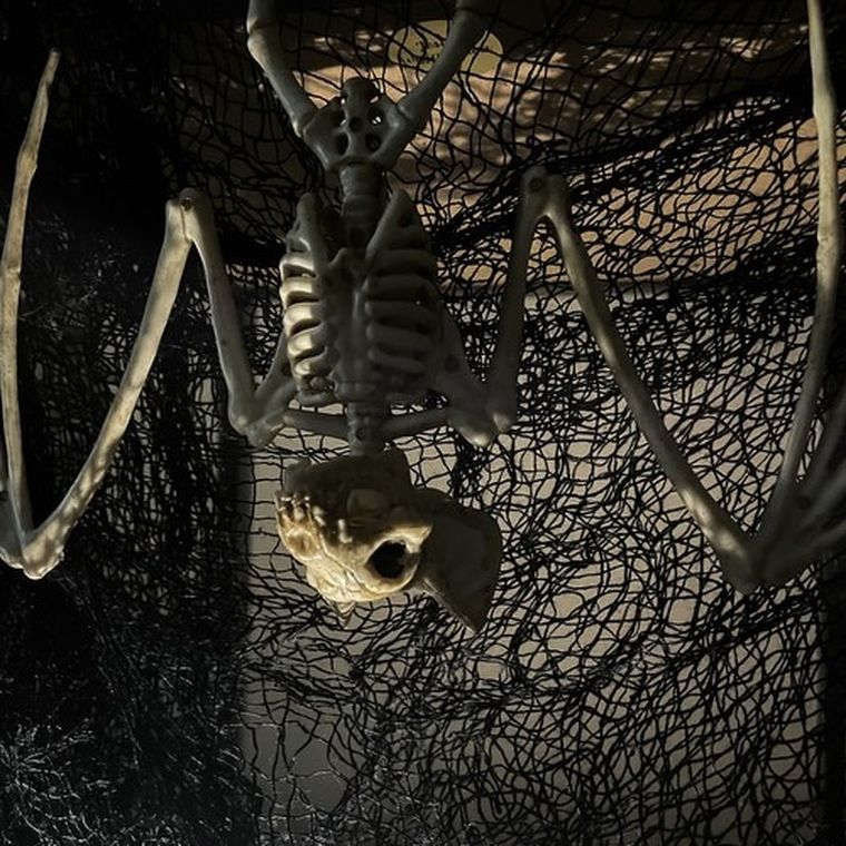 Malatec, szkielet nietoperza, dekoracja, 30 cm