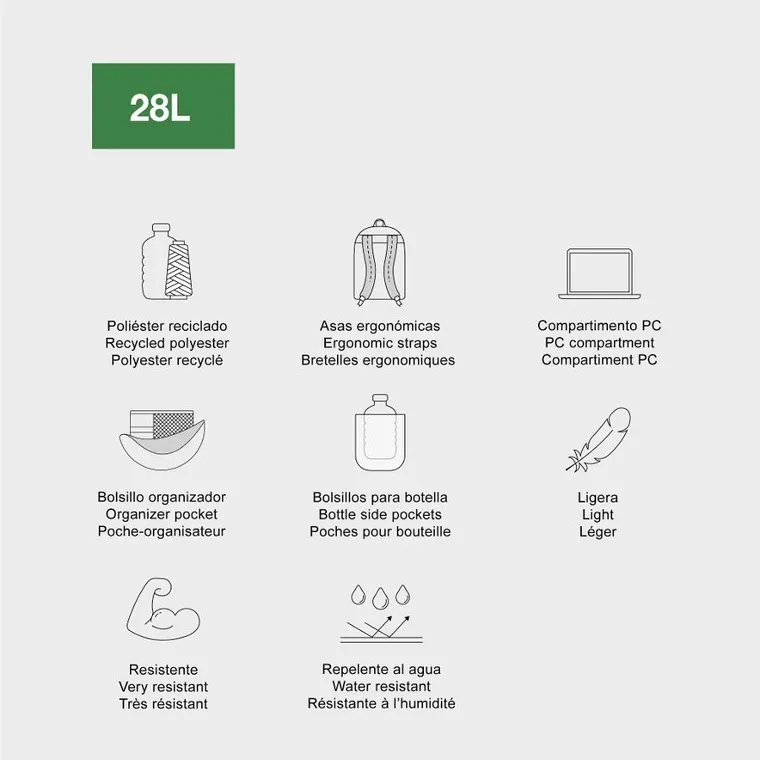 Miquelrius, Amsterdam, Rider, plecak trzykomorowy, purple 28l