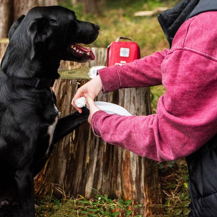 Mountain Paws, apteczka pierwszej pomocy dla psa