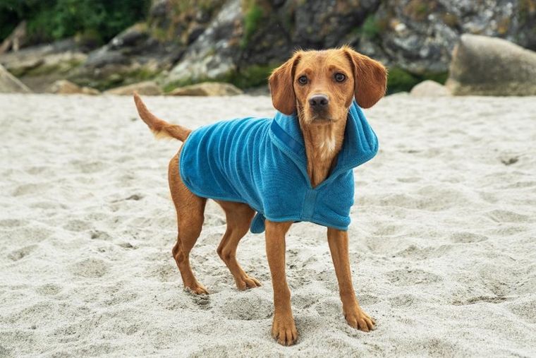 Mountain Paws, kamizelka z polaru dla psa, rozmiar S