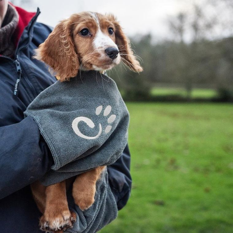 Mountain Paws, ręcznik do wycierania psa