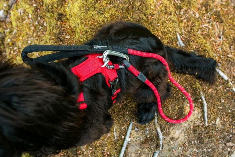 Mountain Paws, szelki dla psa, czerwone, rozmiar S