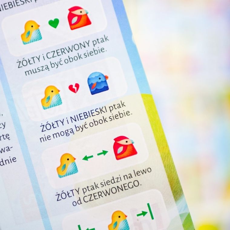 Muduko, Ptaki, 60 zagadek, gra logiczna