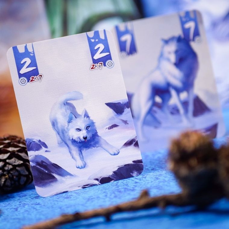 Muduko, Samotne Wilki, Pojedynek, gra karciana