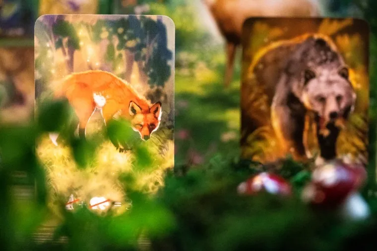 Nasza Księgarnia, Ekosystem, gra familijna