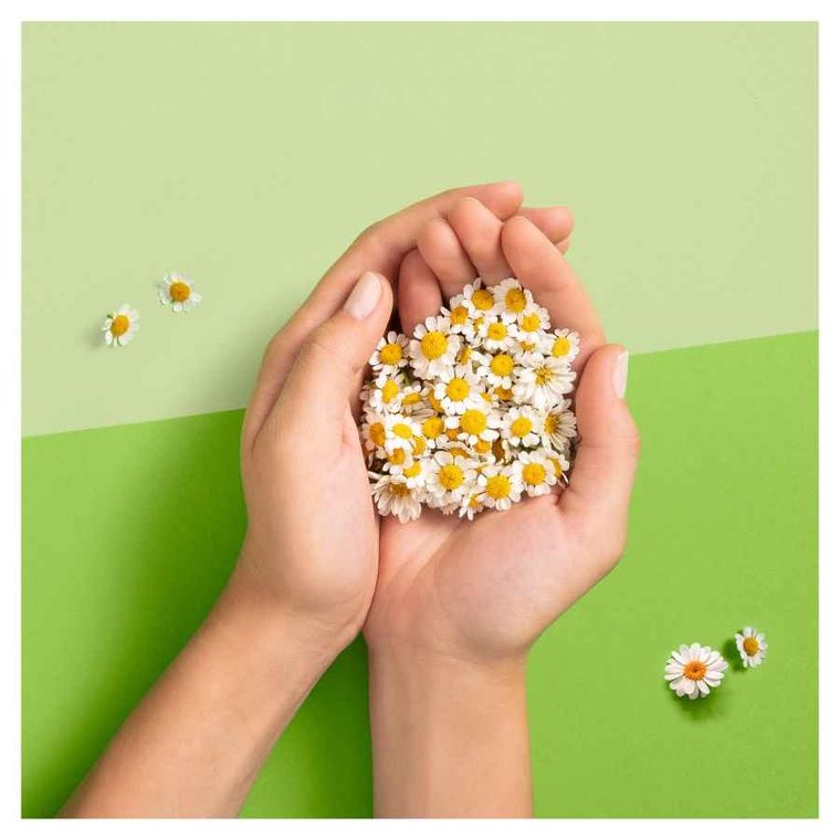 Naturella, Ultra Max+ podpaski ze skrzydełkami, 16 szt.