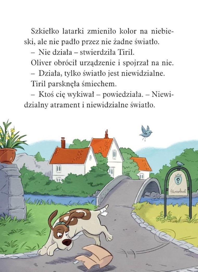 Operacja Rupieciarz. Biuro detektywistyczne nr 2