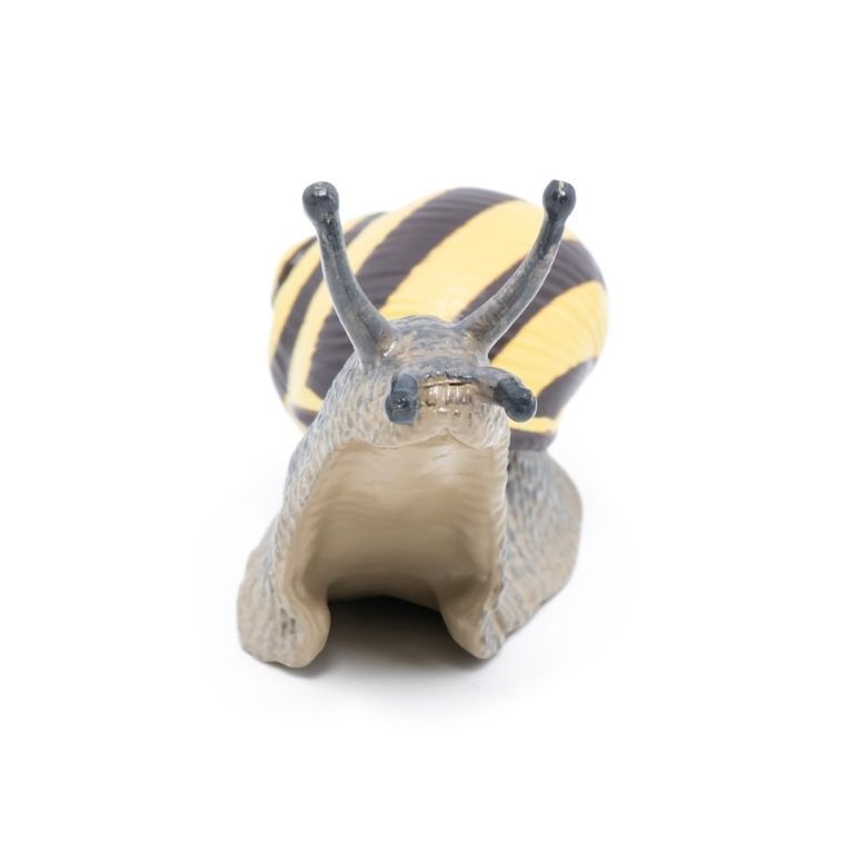 Papo, Ślimak Wstężyk gajowy, figurka