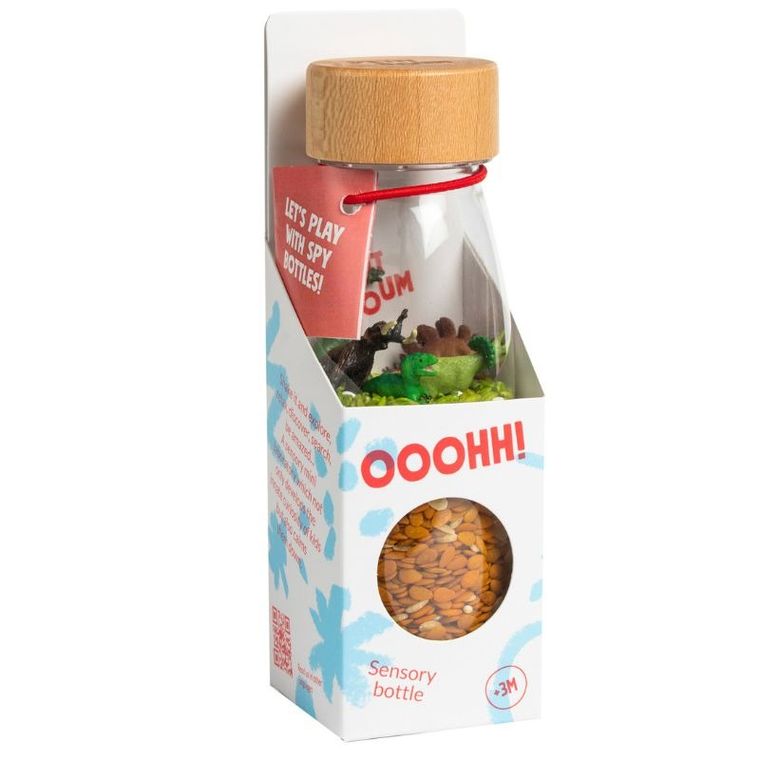 Petit Boum, butelka obserwacyjna, dinozaury