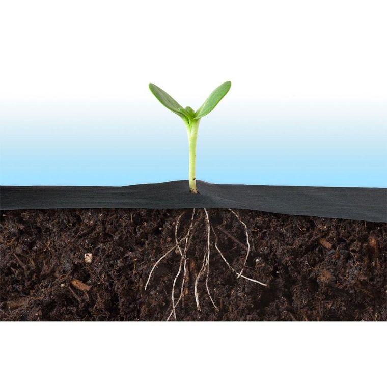 Plonos, agrotkanina ogrodowa 1,6 mx100 m 90 g/m2 + 100 szpilek, czarna