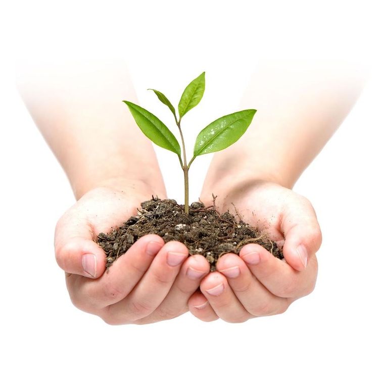 Plonos, agrowłóknina ogrodowa, czarna, 175m + szpilki, 50 szt.