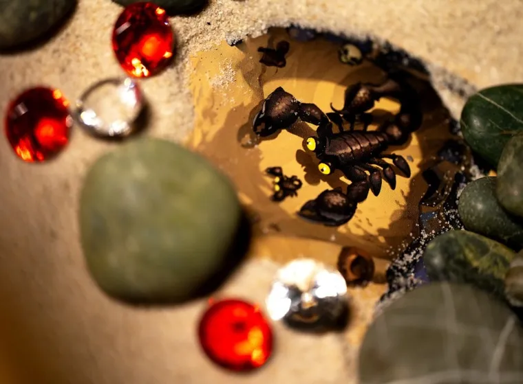 Portal Games, Diamenty, imprezowa gra strategiczna