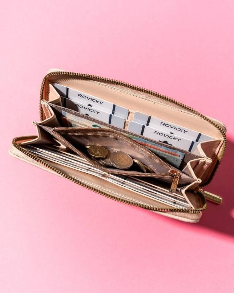 Portfel, beżowy, Rovicky