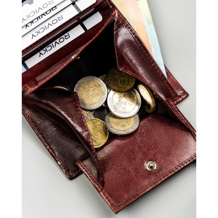 Portfel, brązowy, skórzany, RFID, Always Wild