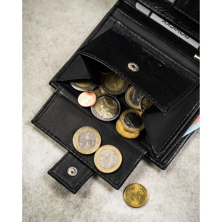 Portfel, czarny, skórzany, RFID, Rovicky