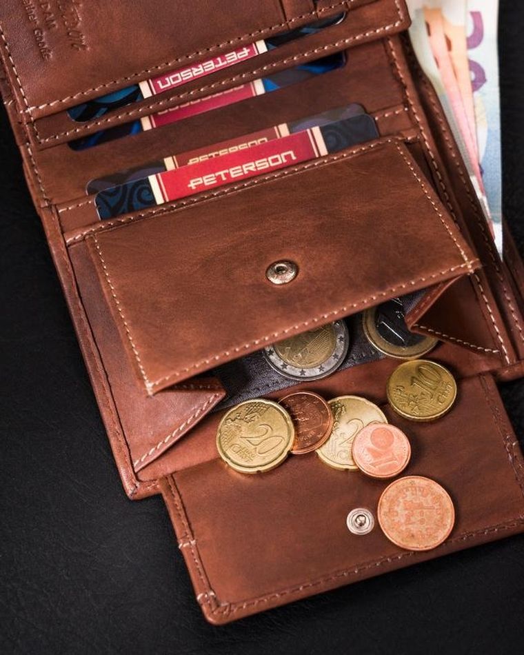 Portfel męski z cieniowanej skóry naturalnej, Peterson