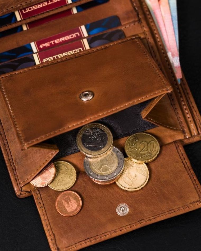 Portfel męski z cieniowanej skóry naturalnej, Peterson