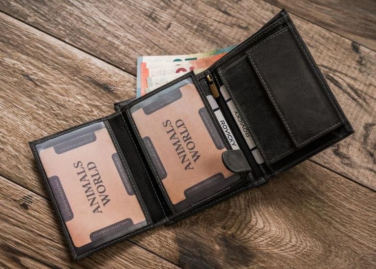 Portfel, szary, skórzany, Always Wild