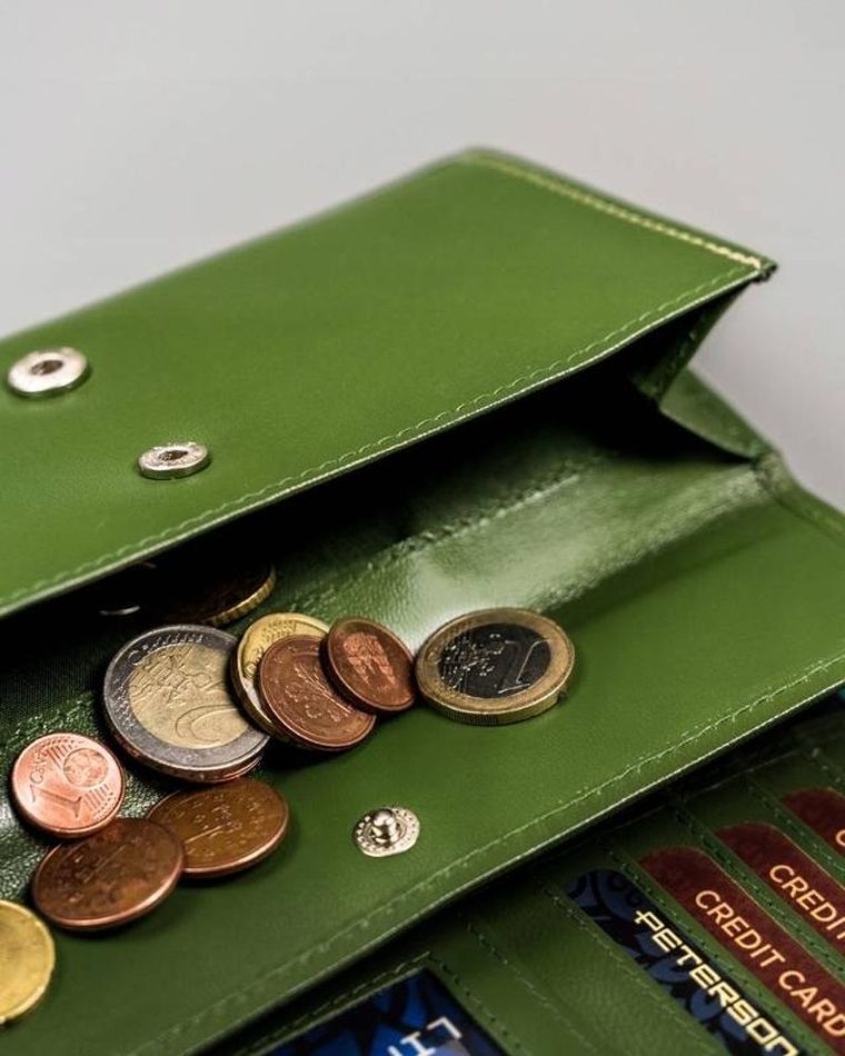 Portfel, zielony, skórzany, Peterson