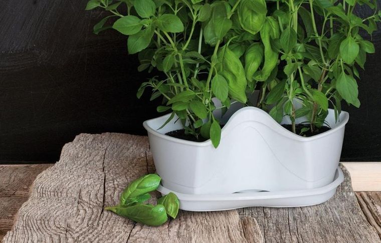 Prosperplast, doniczka kaskadowa do ziół, grafit