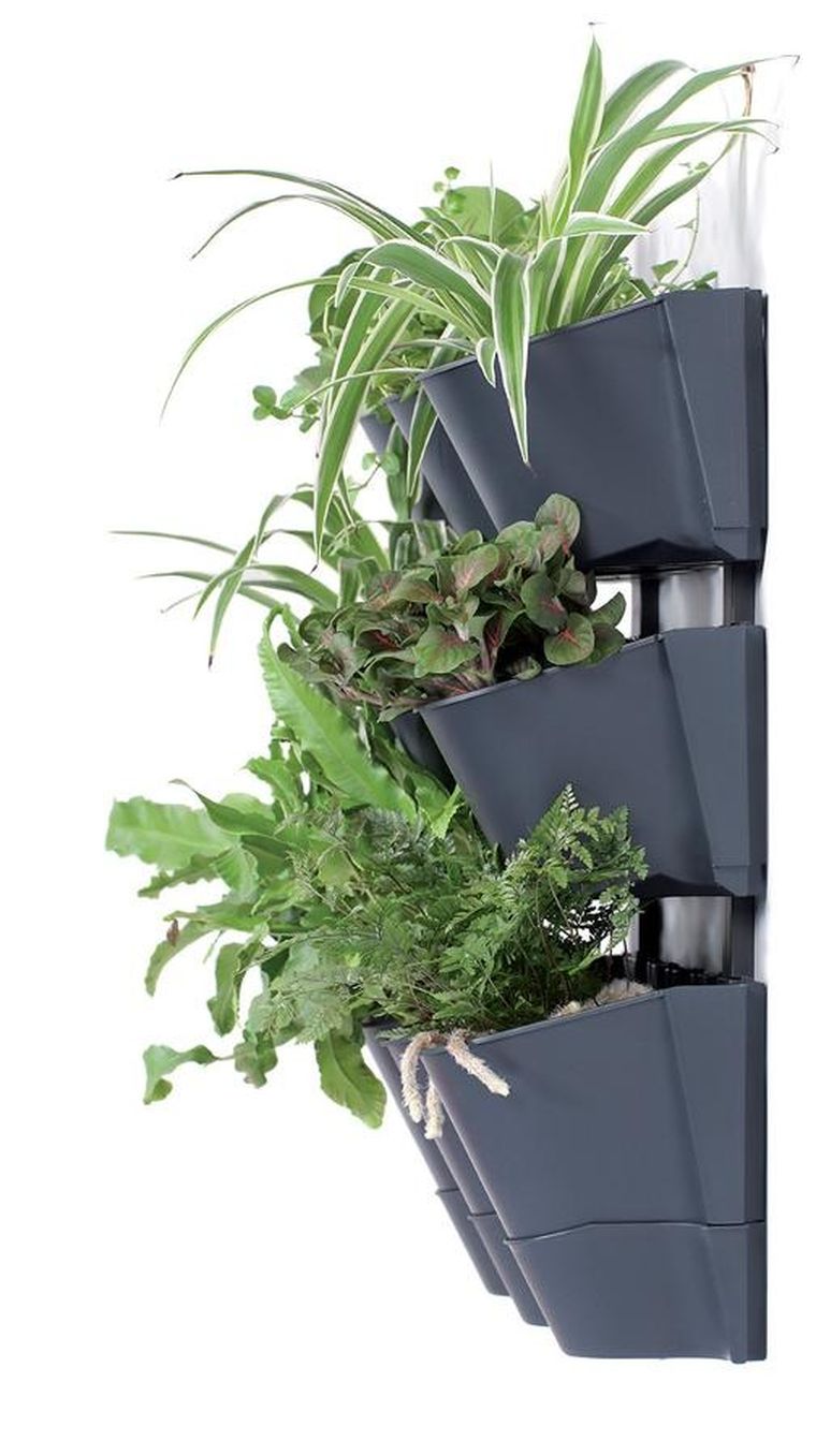 Prosperplast, ogród wertykalny, wiszący kwietnik, antracyt