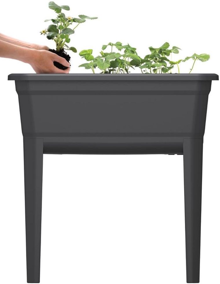 Prosperplast, szklarnia stojąca, rozsadnik, antracytowa, 59,6-36,8-75,3 cm