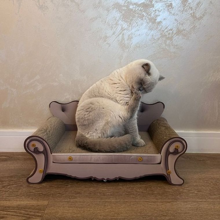 Purlov, drapak dla kota, sofa