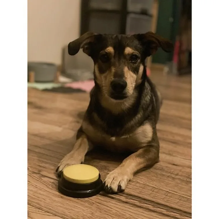 Purlov, przyciski dźwiękowe dla zwierząt