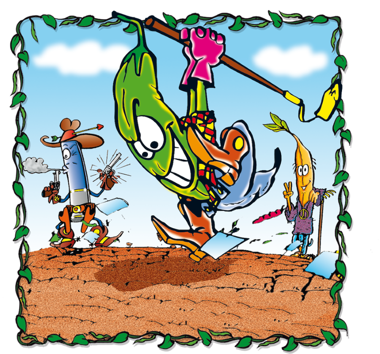 Rebel, Fasolki, gra karciana