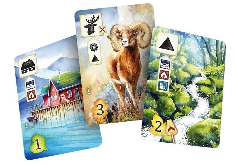 Rebel, Łąka: Z biegiem strumienia, gra familijna