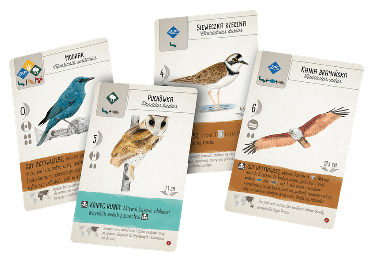 Rebel, Na skrzydłach: Ptaki Azji, gra ekonomiczna