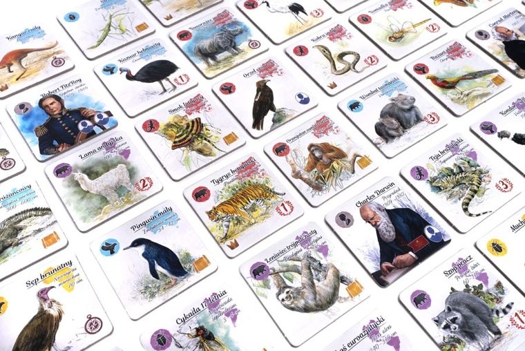 Rebel, Śladami Darwina, gra familijna