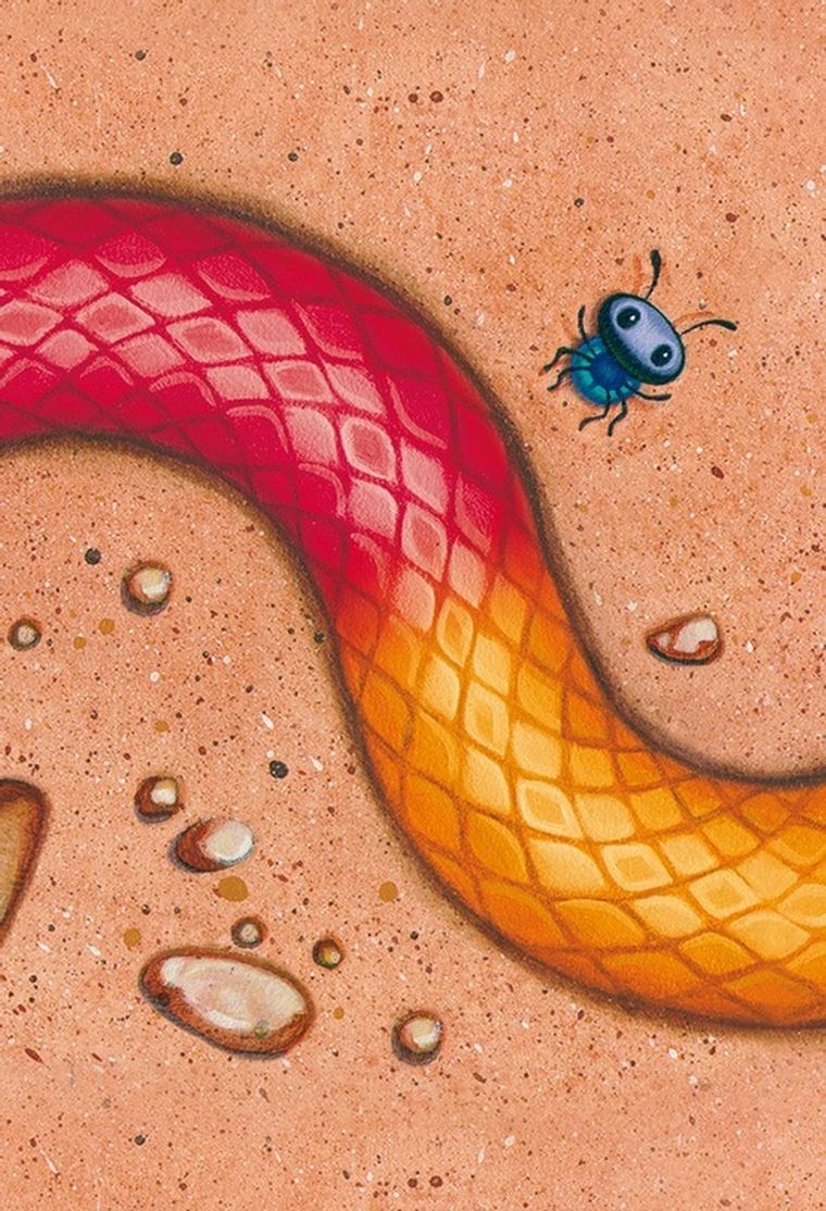 Serpentyna. Kolorowe węże, gra karciana