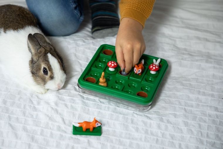 Smart Games, Jump In', wersja angielska, gra logiczna