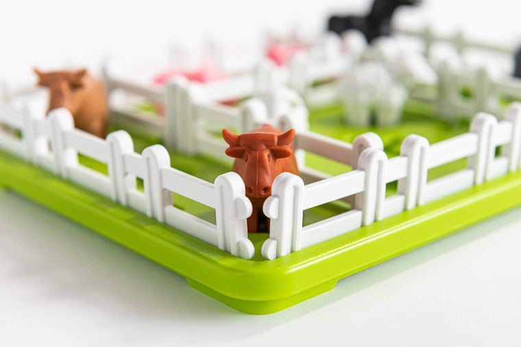 Smart Games, Zwierzaki Na Wsi, gra logiczna