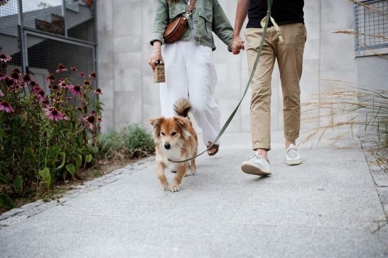 Starch Bag, BIOworki, worki na śmieci, czarne, 8 rolek x 15 szt.