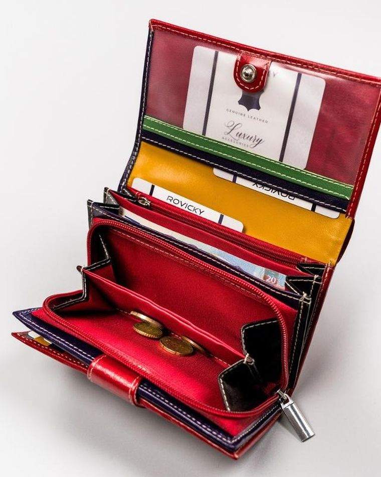 Stylowy portfel z kolorowej skóry naturalnej, Rovicky