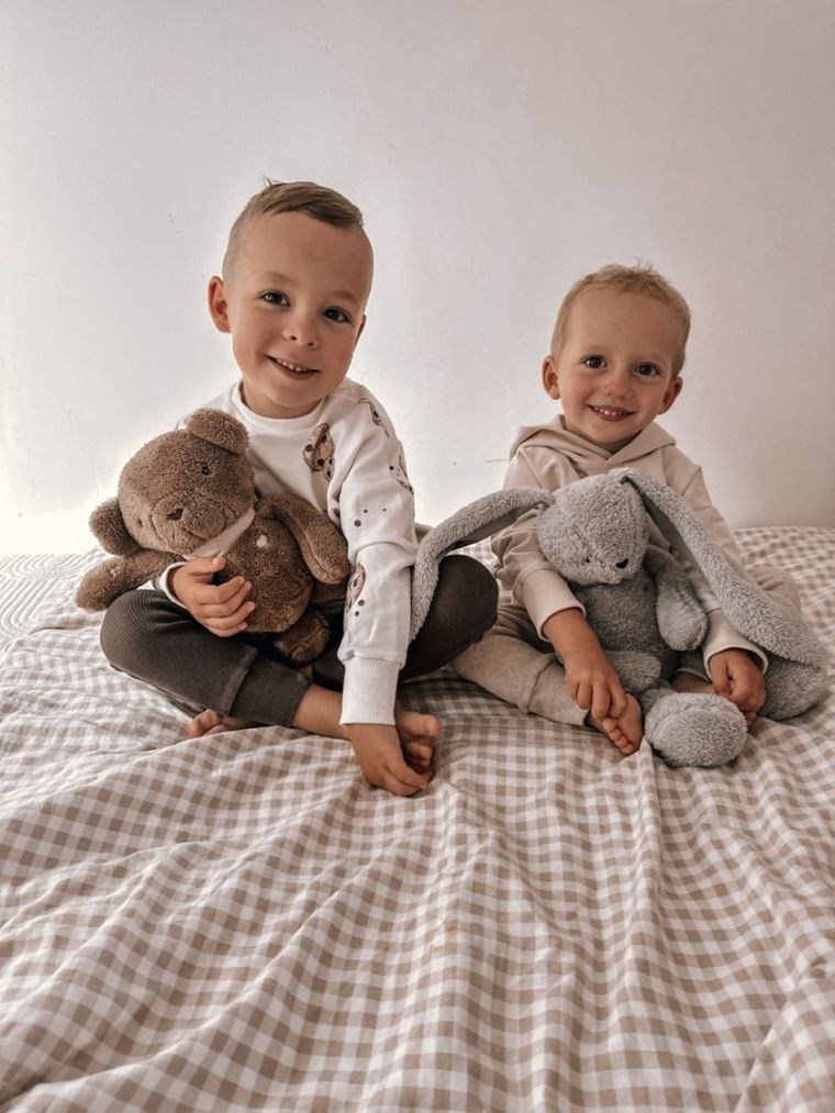 Szumisie, Miś dla starszaków, maskotka z mechanizmem szumiącym 5w1, brązowy, 36 cm