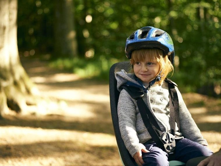 Thule, Yepp Nexxt Maxi, fotelik rowerowy montowany do ramy, Mint Green