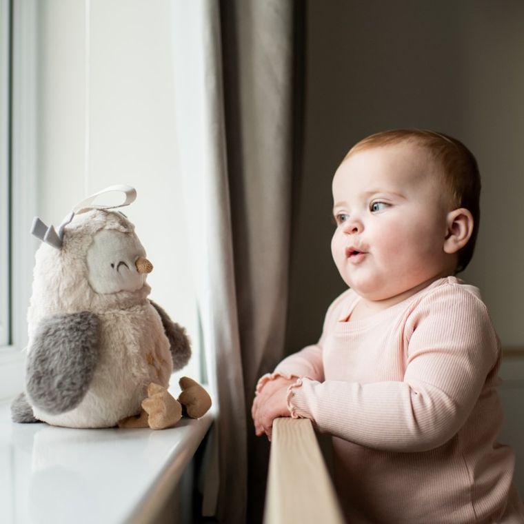 Tommee Tippee, maskotka szumiąca, Sowa Ollie