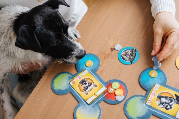 Trefl, Good Boy! gra familijna