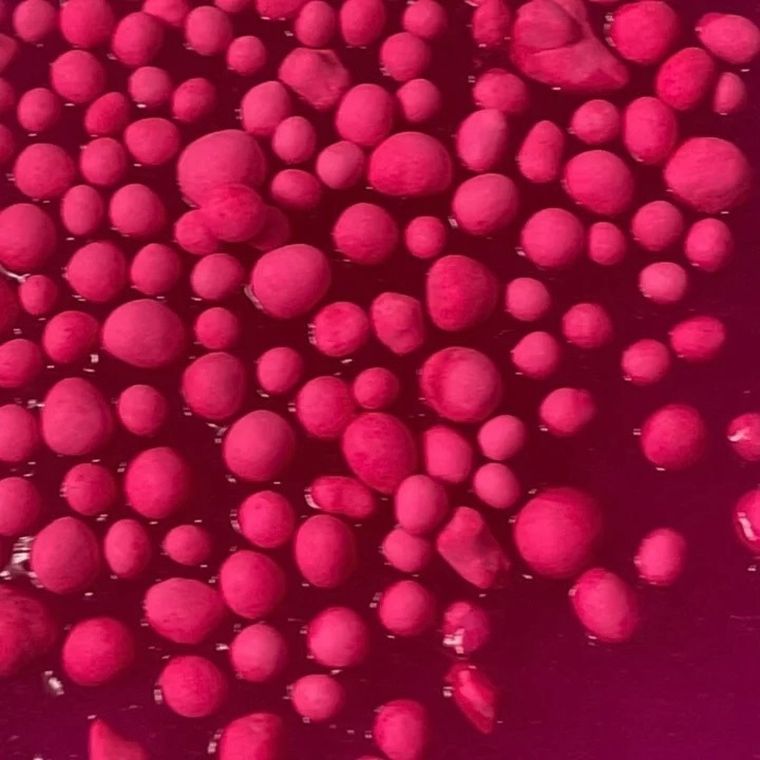 Tuban, Slime, zrób to sam, Magic Pink