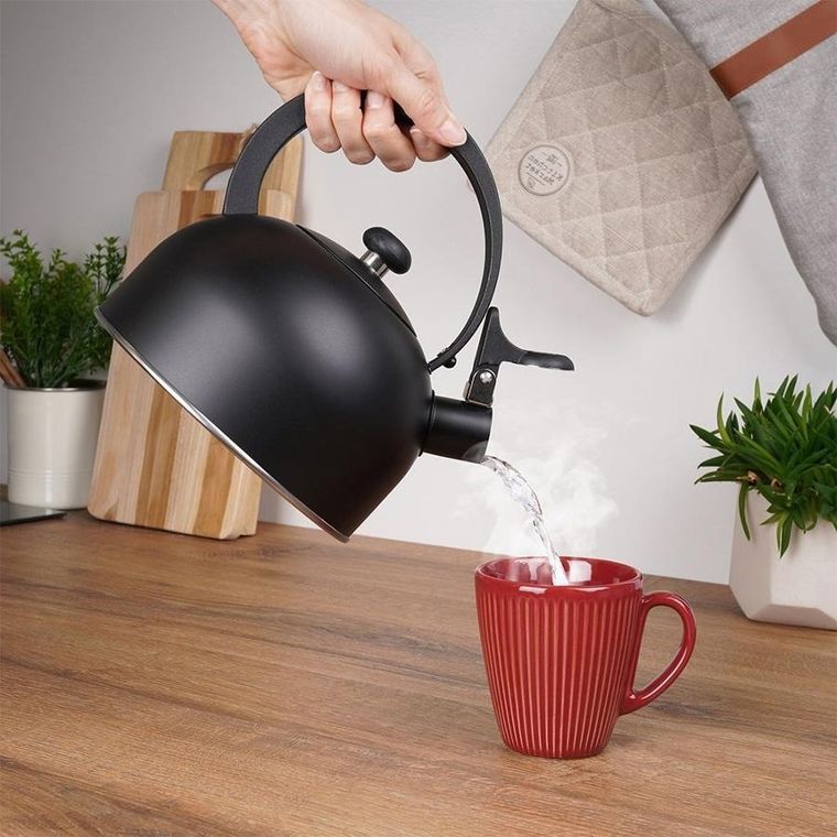 Vilde, czajnik z gwizdkiem, stalowy czarny, 2 l