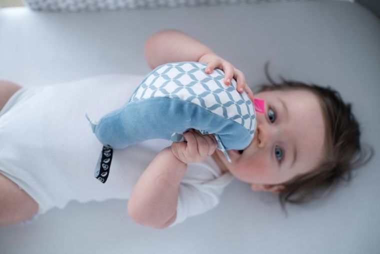 Whisbear - Szumiący Miś, szumiący ptaszek, Drzewka różowe