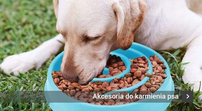 Akcesoria do karmienia dla psa