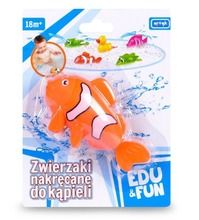 Edu&Fun, Rybka, zabawka nakręcana do kąpieli, pomarańczowa